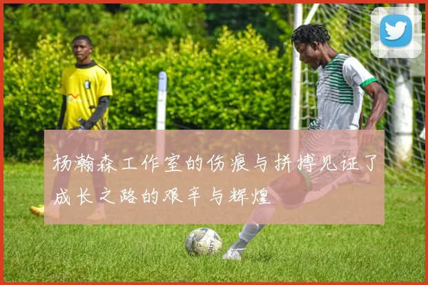 杨瀚森工作室的伤痕与拼搏见证了成长之路的艰辛与辉煌